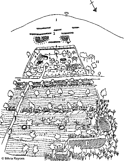 Site plan of Mr. Phiri's farm