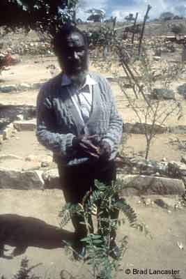 Mr. Phiri and water harvesting structures