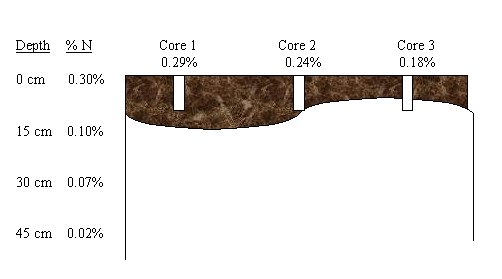 Schematic representation of sampling by depth in a soil with variable A horizon thickness