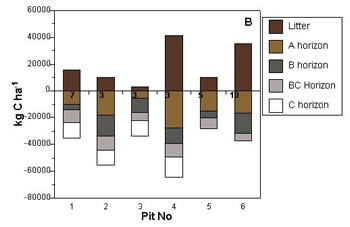 carbon content in litter and soils