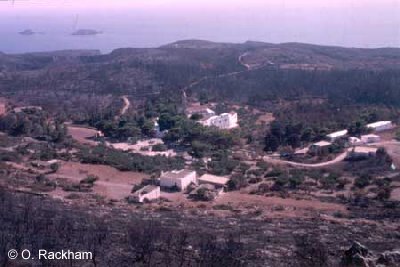 Fire-devastated landscape in Greece