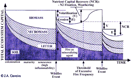 graph showing conceptual model of fire regime and consequences of too many fires