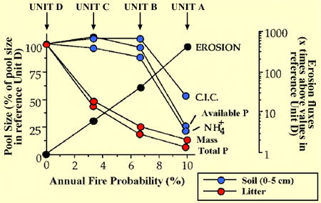 graph of nutrient pool sizes and erosion fluxes, showing inverse relationship between the two