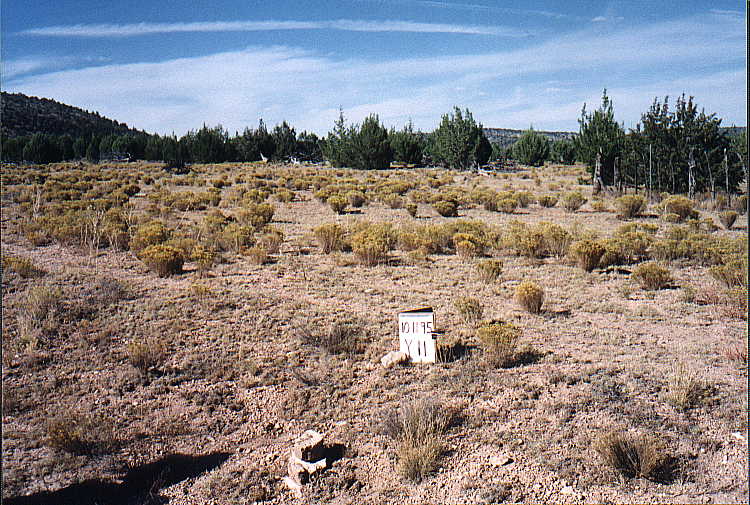y-11 10/11/95