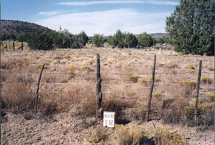 y-12 10/11/95