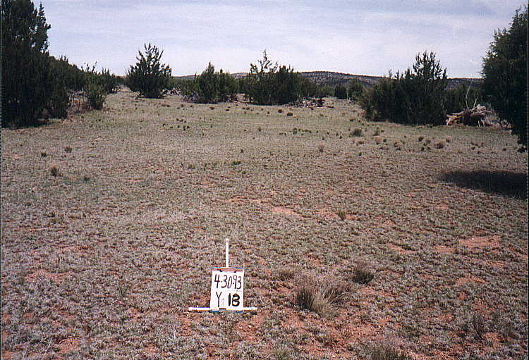 y-13 04/30/93