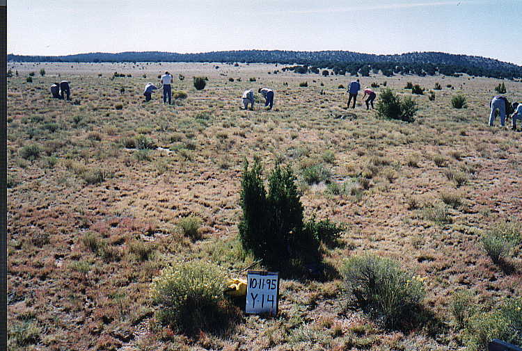 Y-14 10/11/95