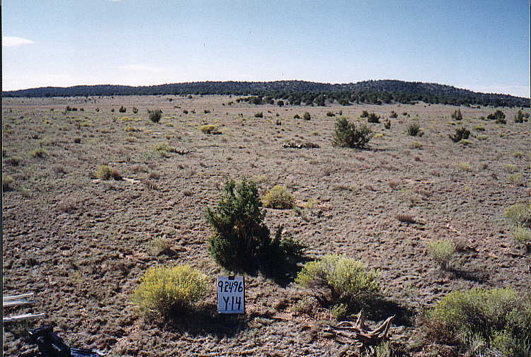 Y-14 09/24/96
