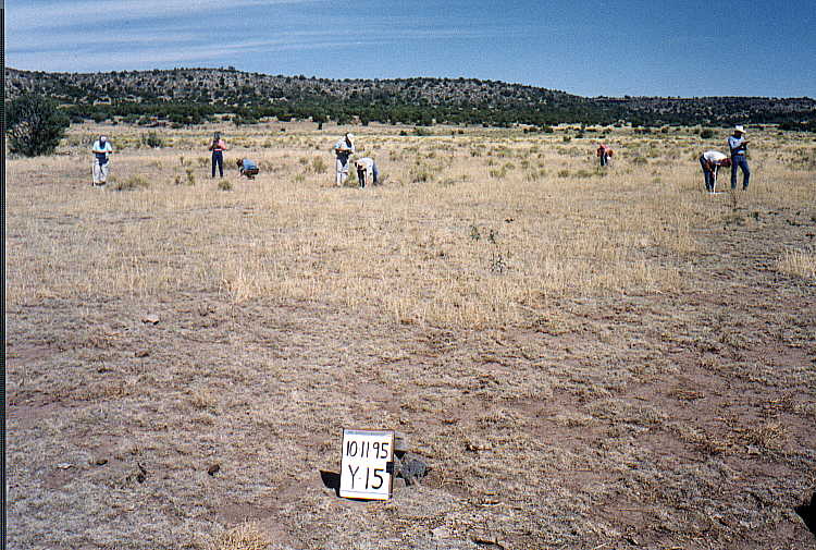 Y-15 10/11/95
