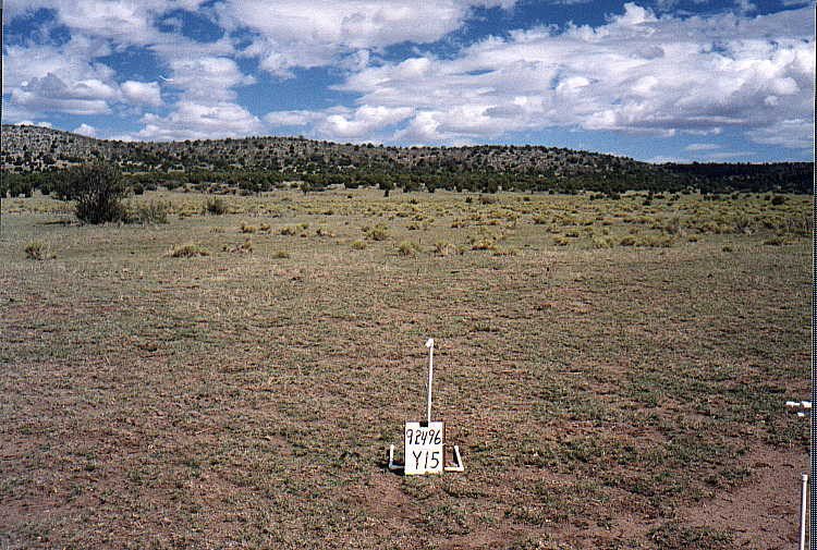 Y-15 09/24/96