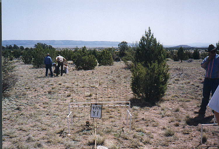 Y-1 04/14/94