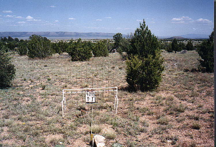 Y-1 04/29/93