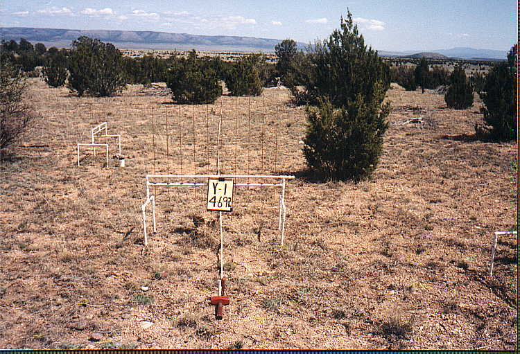 Y-1 04/06/92