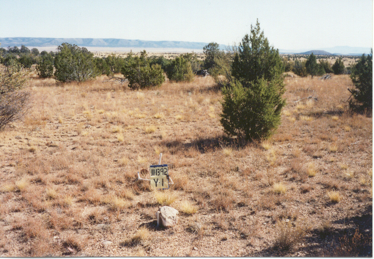 y-1 11/13/92