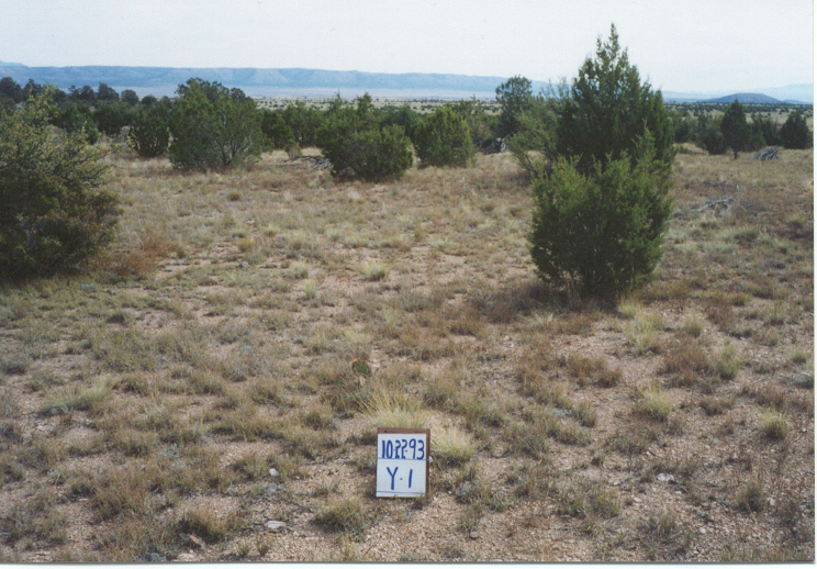 y-1 10/22/93