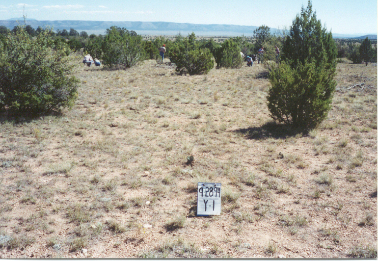 y-1 08/28/94