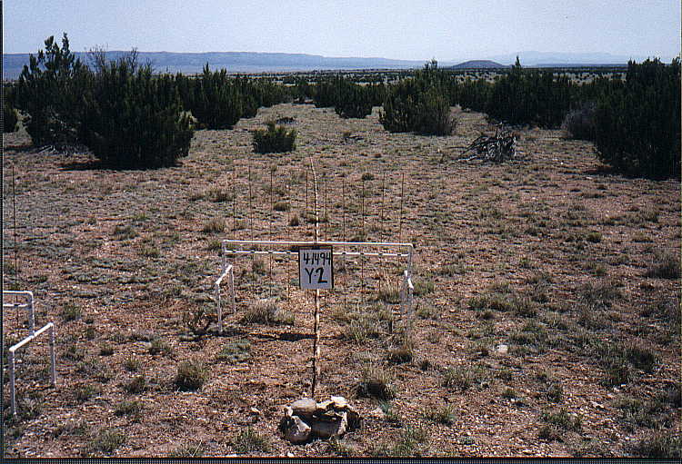 Y-2 04/14/94