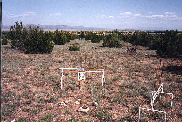 Y-2 04/29/93