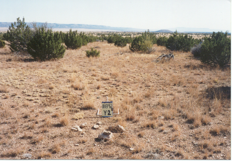 y-2 11/13/92