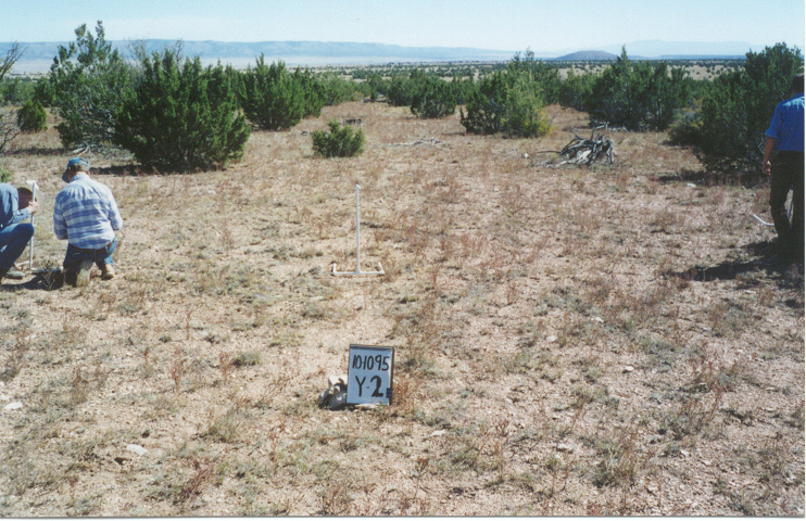 y-2 10/10/95