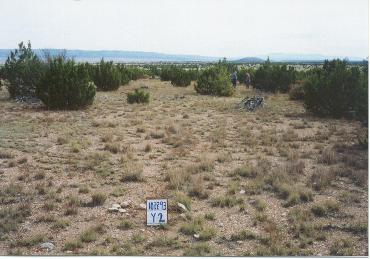 y-2 10/22/93