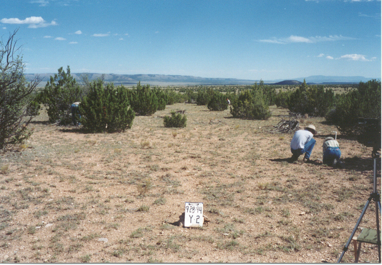 y-2 08/28/94