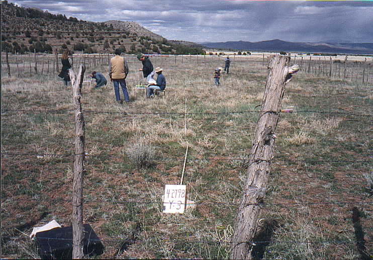 Photo of Plot Y-3, April 27, 1998