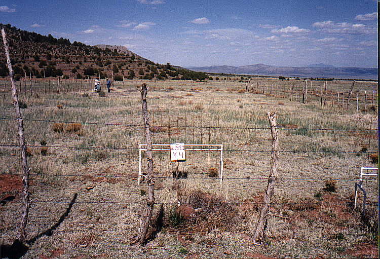 Y-4 04/14/94