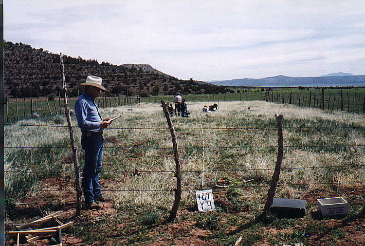 Y-4 04/21/97