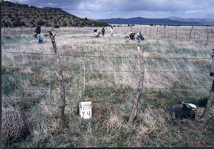 Photo of Plot Y-4, April 27, 1998