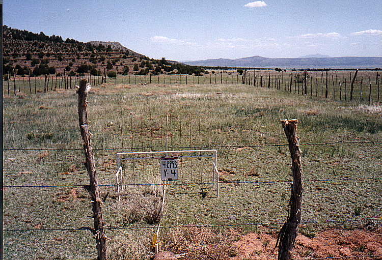 Y-4 04/29/93
