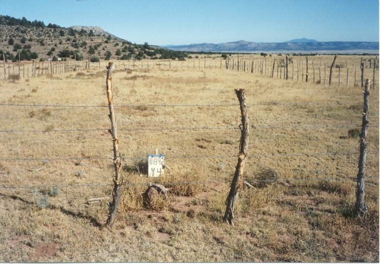 y-4 11/13/92