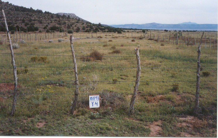 y-4 10/22/93