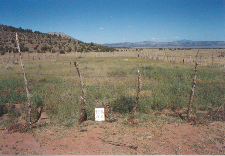 y-4 09/23/96