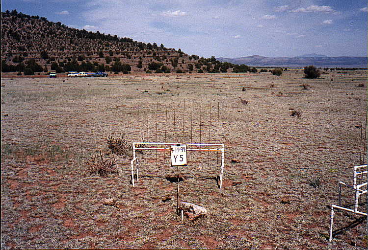 Y-5 04/14/94