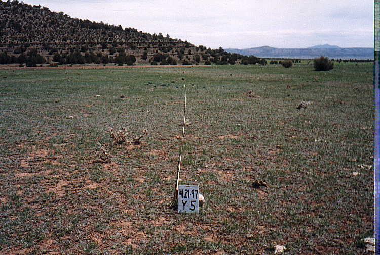 Y-5 04/21/97