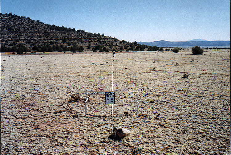 Y-5 04/22/96
