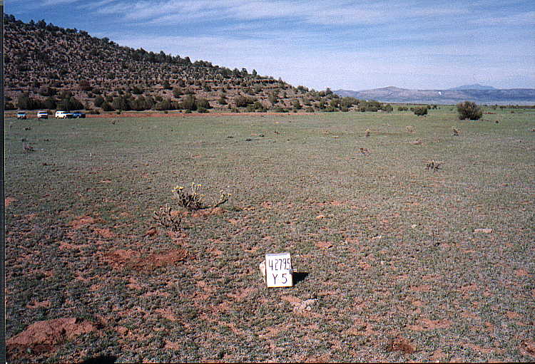 Y-5 04/27/95