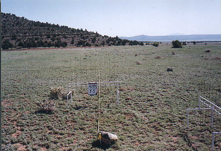 Y-5 04/29/93