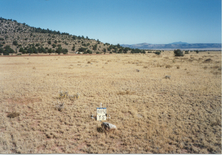 y-5 11/13/92