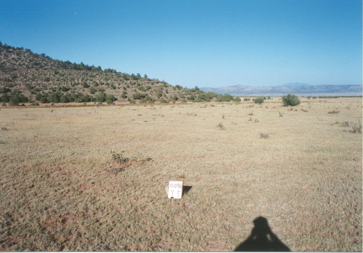 y-5 10/10/95