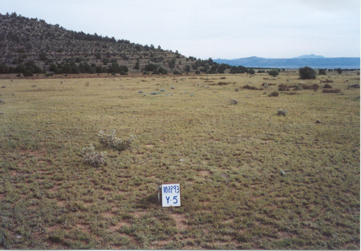 y-5 10/22/93