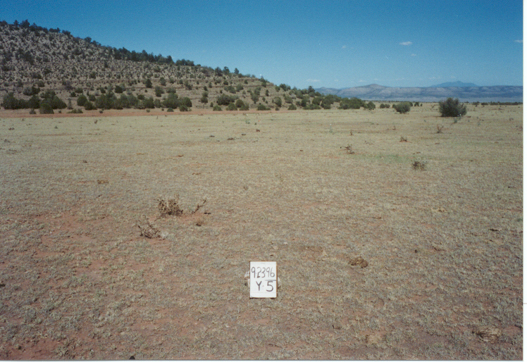y-5 09/23/96