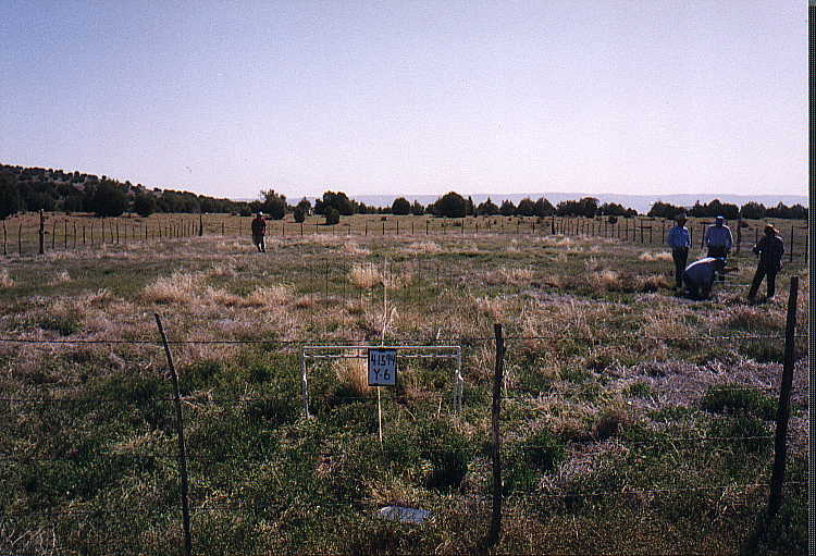 Y-6 04/15/94