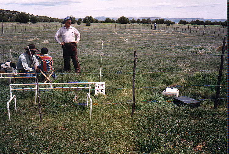 Y-6 04/21/97