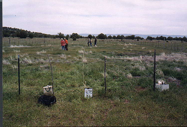 Y-6 04/27/95