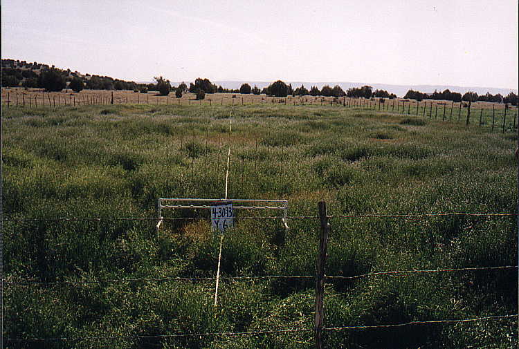 Y-6 04/29/93