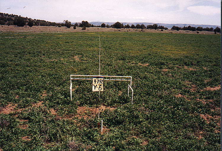 Y-6 04/06/92