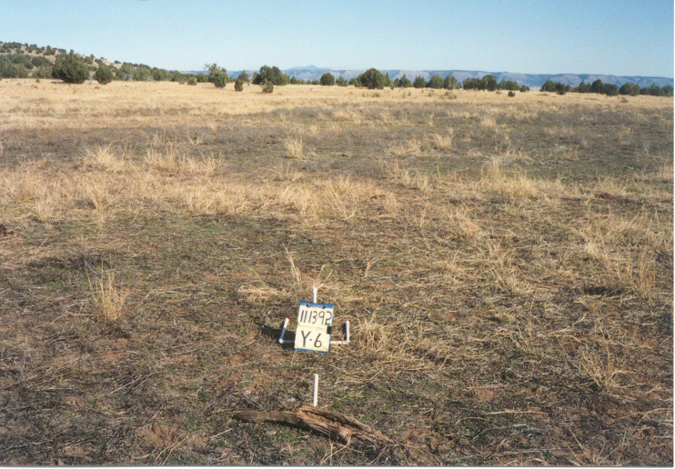 y-6 11/13/92