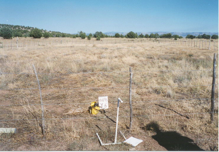 y-6 10/10/95